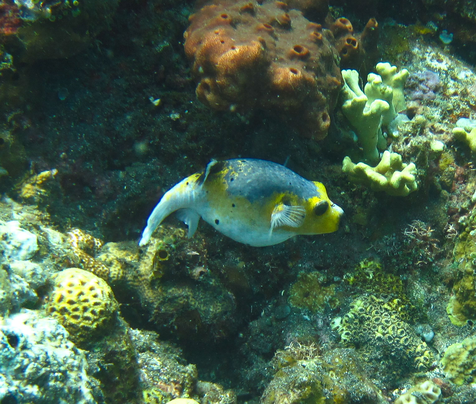 IMG_0226.jpg