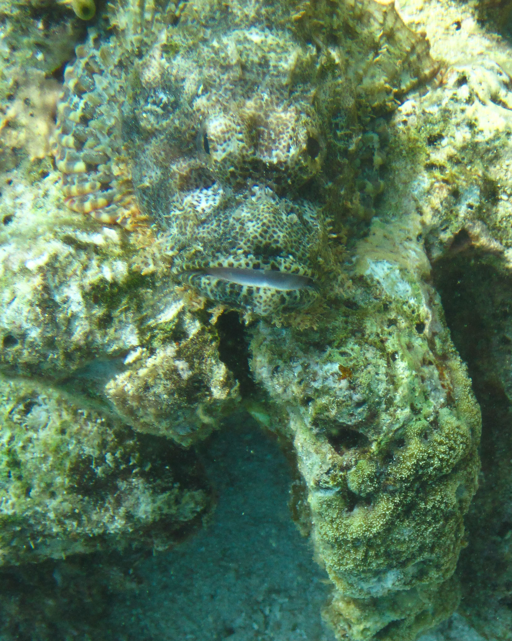 IMG_0389.jpg