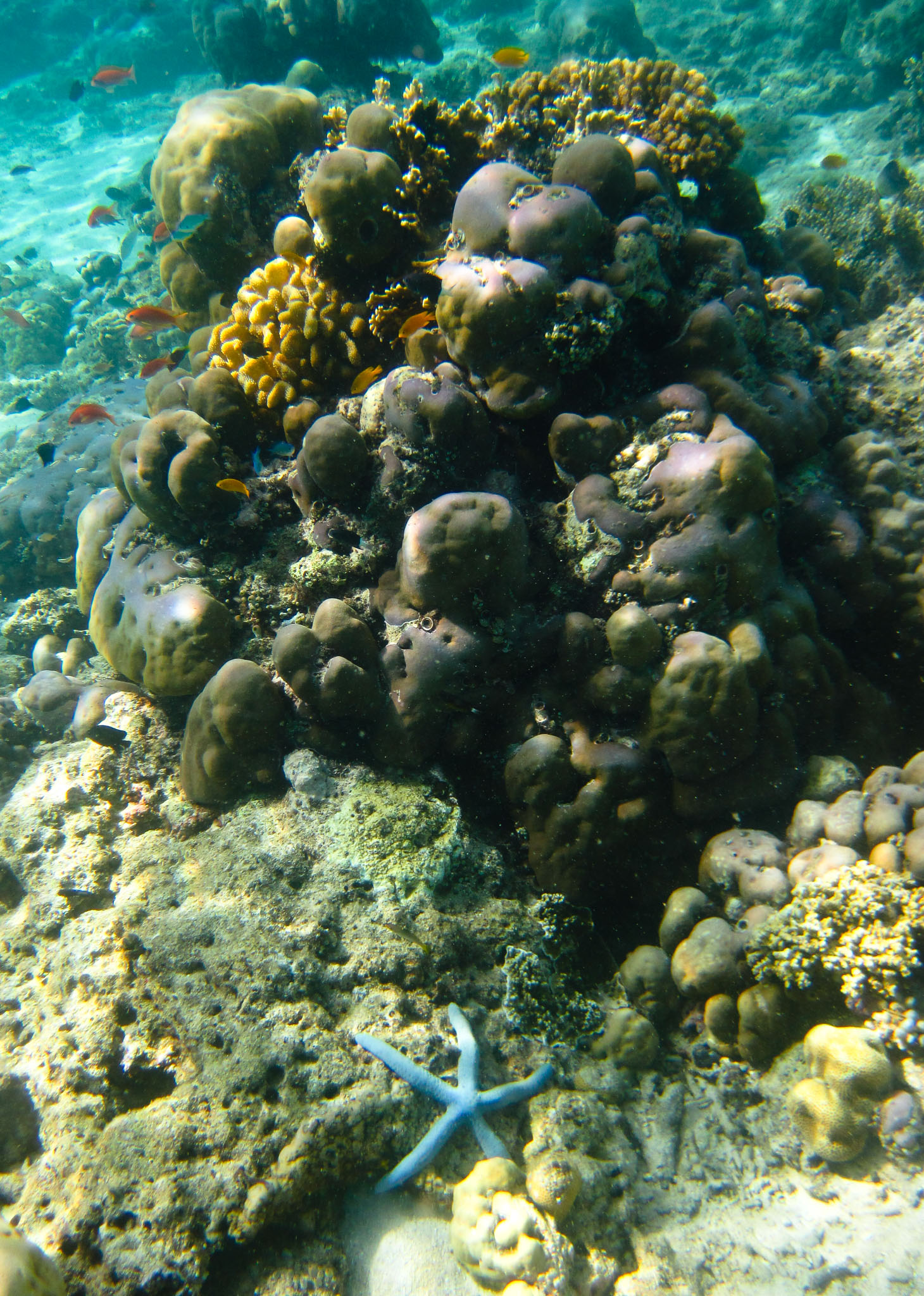 IMG_0408.jpg