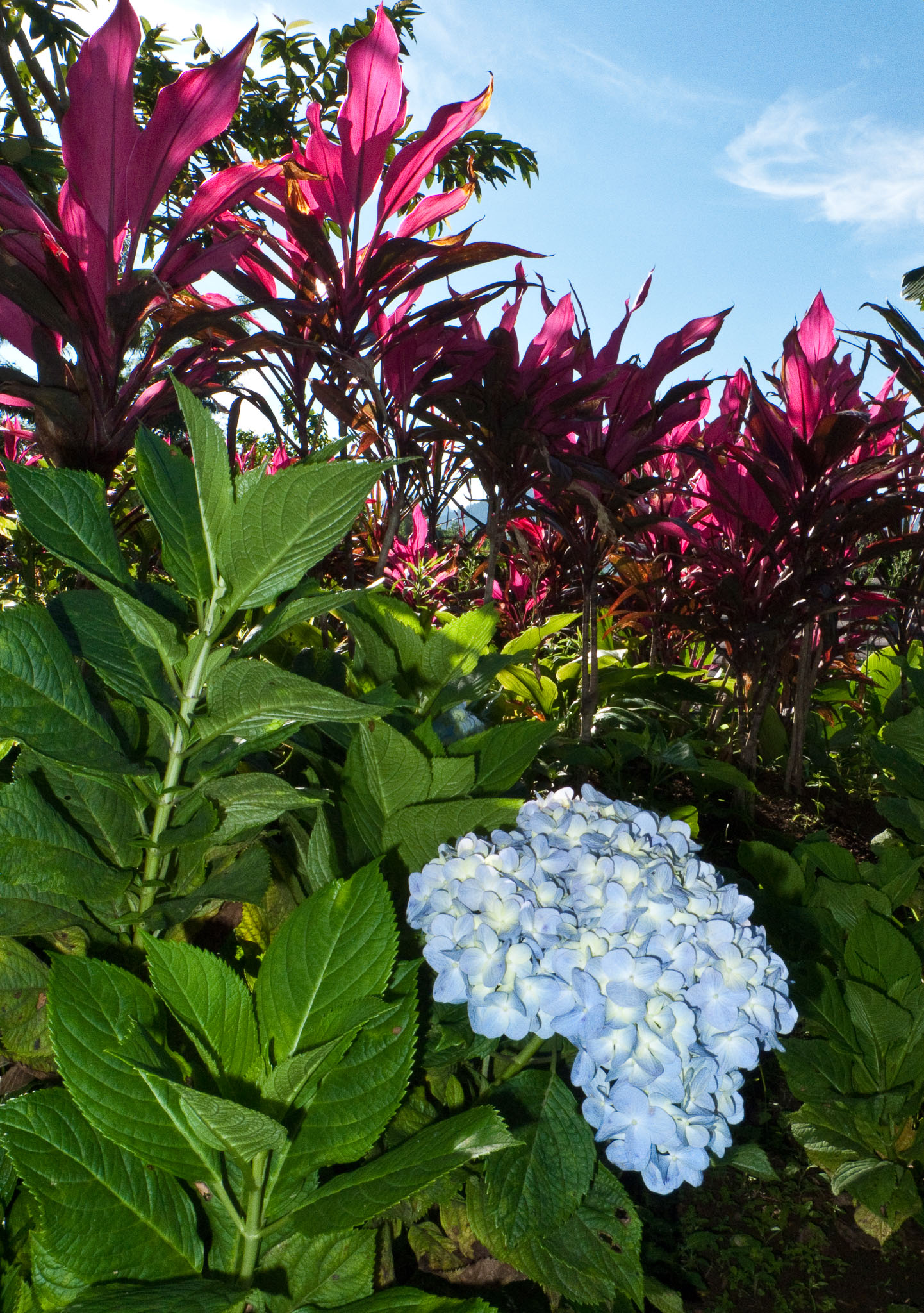 L1000389.jpg