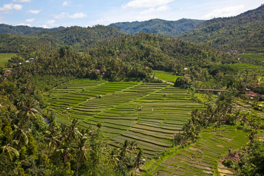 Bali