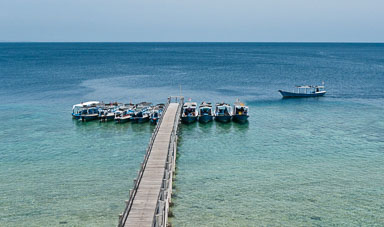 L1000411.jpg