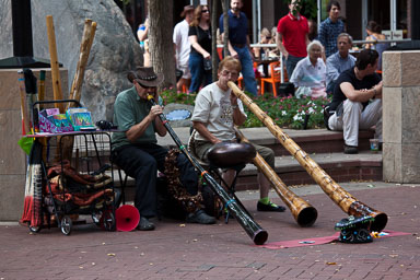 IMG_1187.jpg