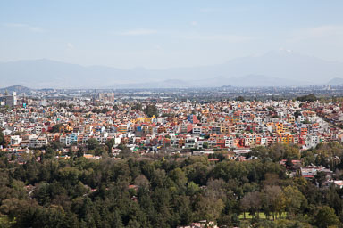 IMG_2932.jpg