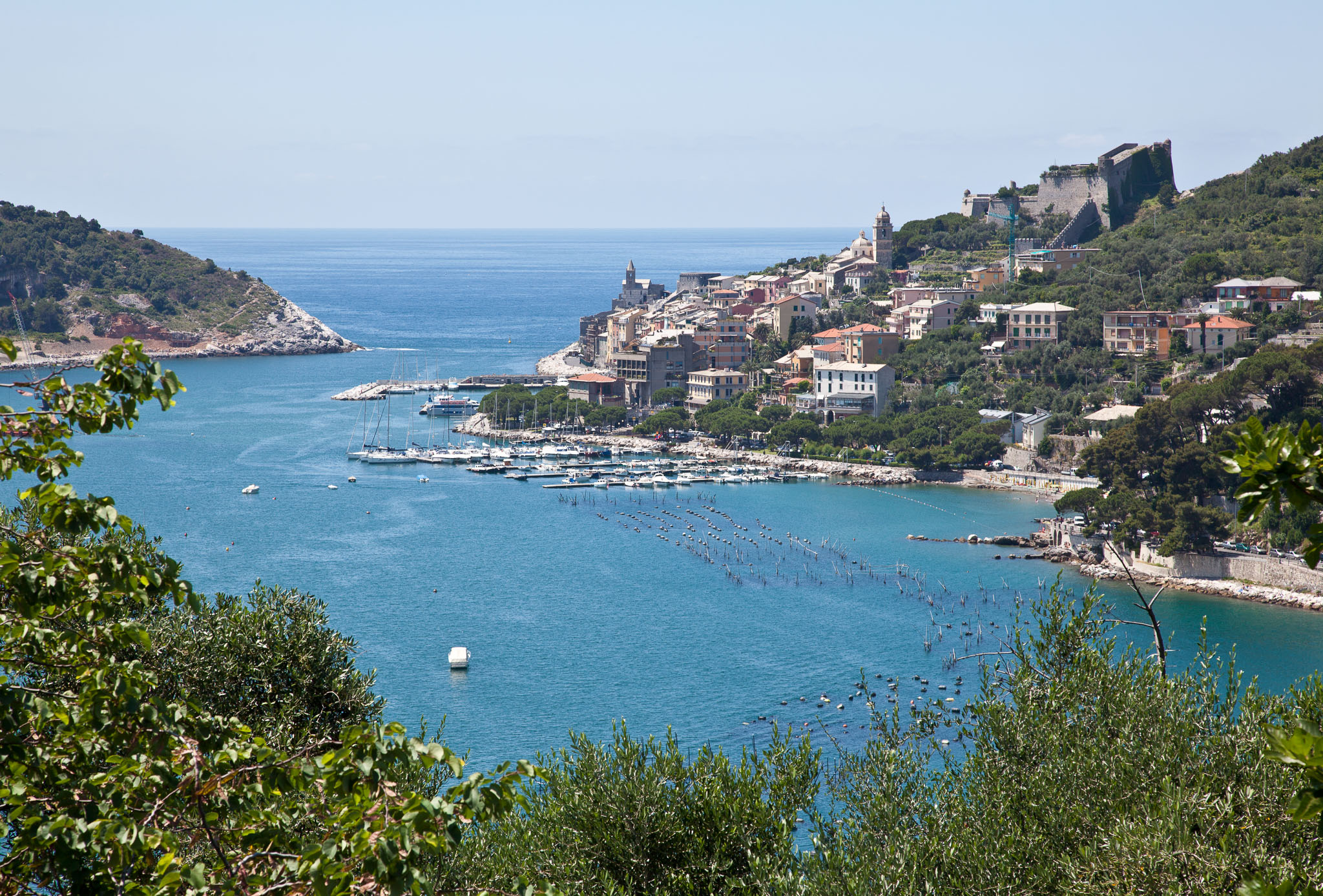 _MG_3070.jpg