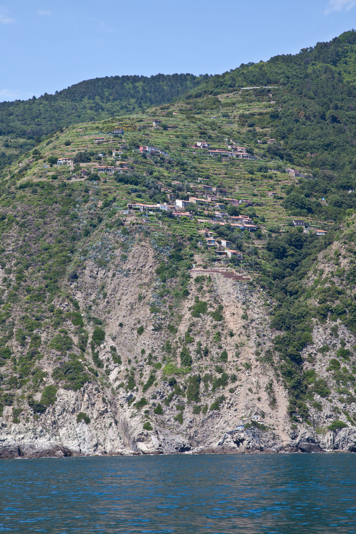 _MG_3098.jpg