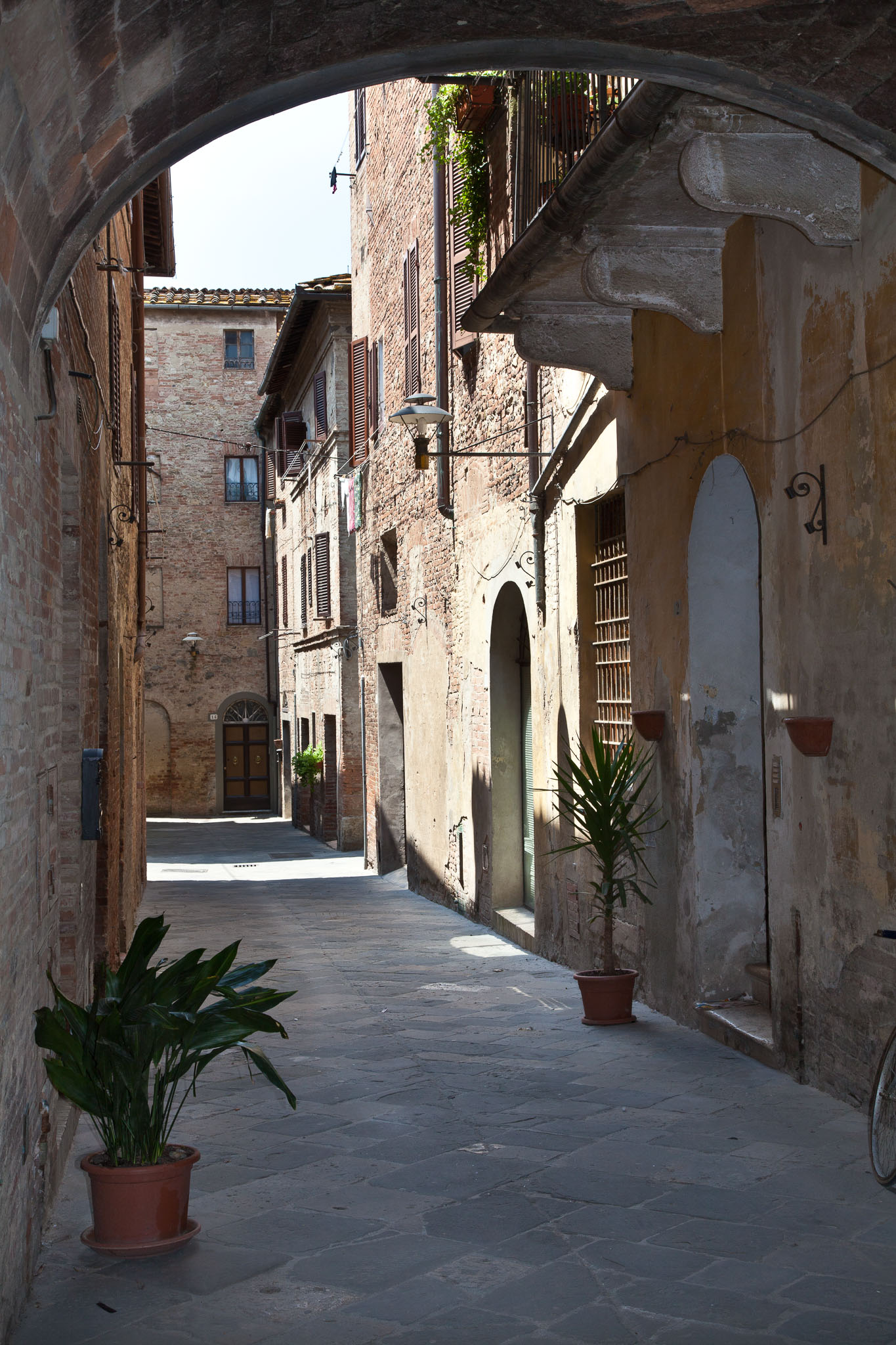 _MG_3426.jpg
