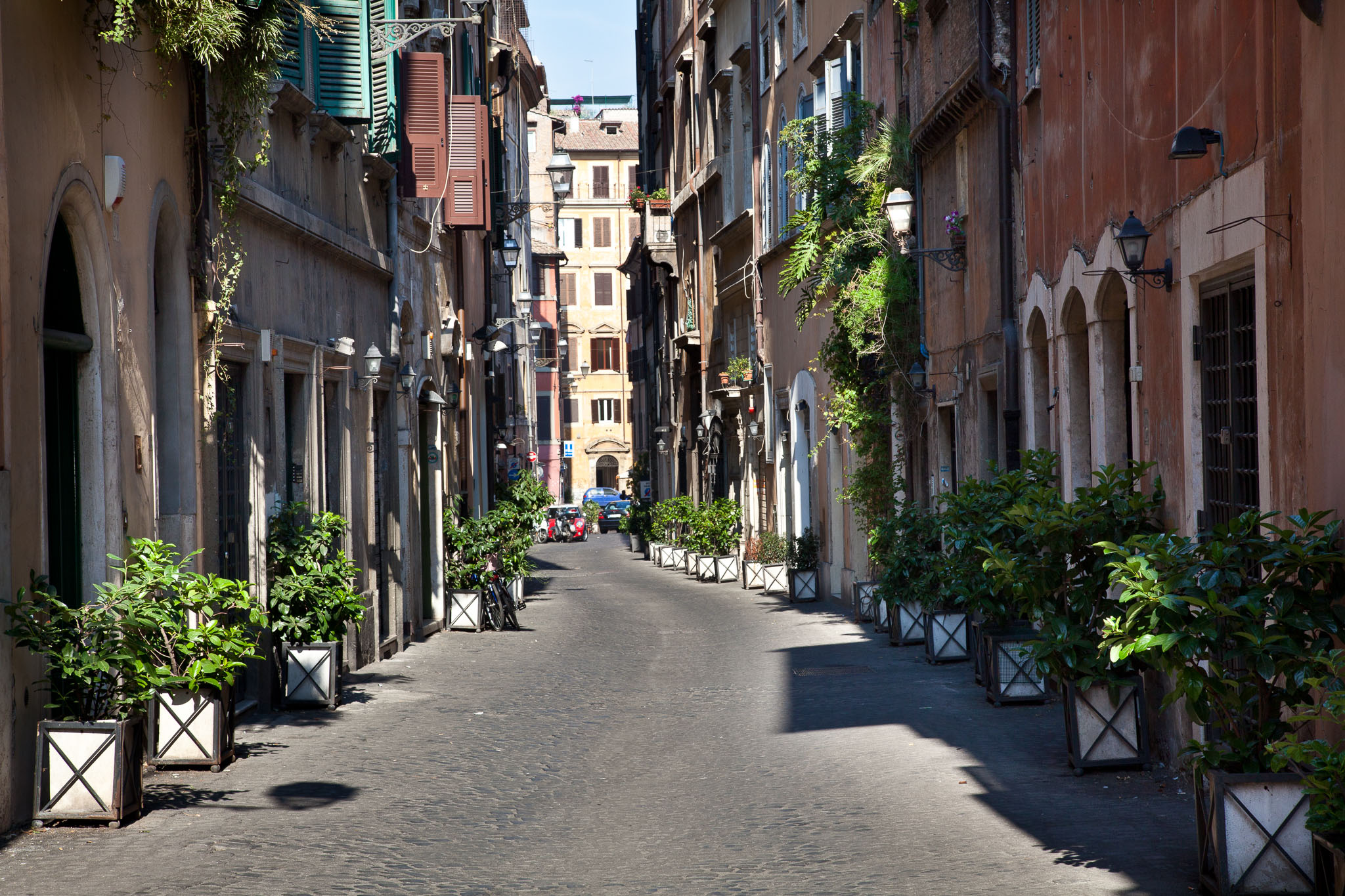 _MG_3626.jpg