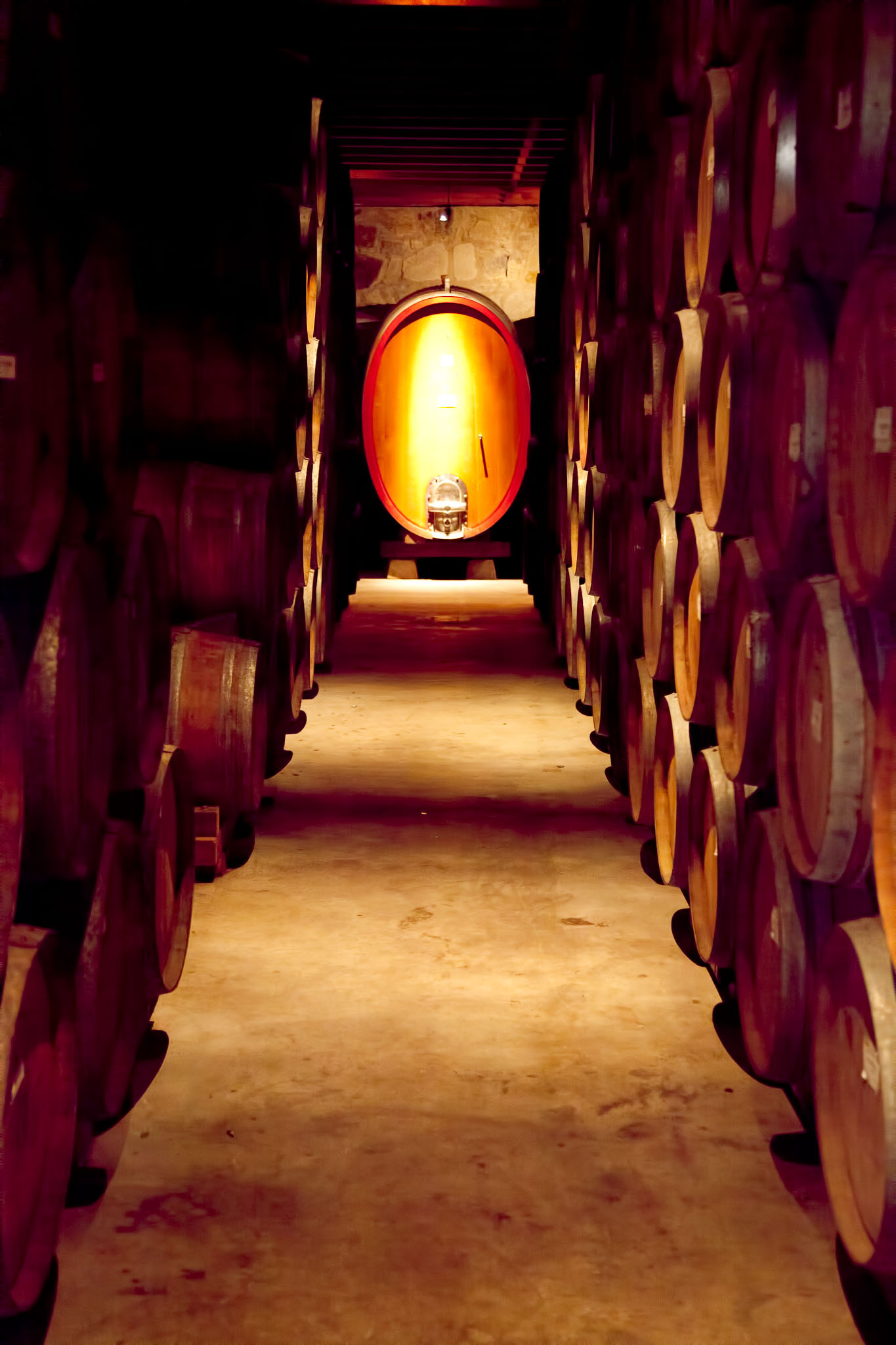 SFO_Napa_5D-138-Edit.jpg