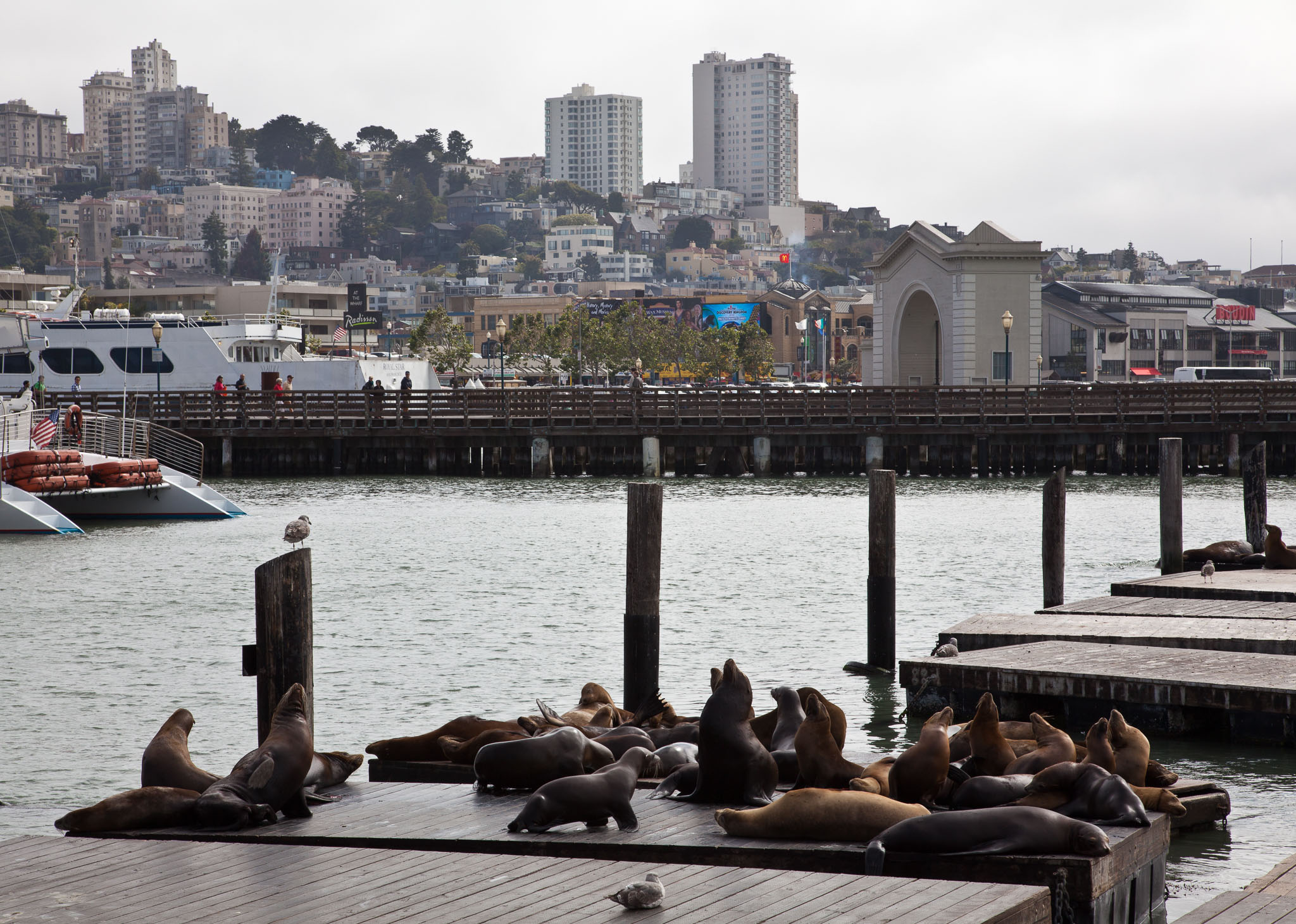 SFO_Napa_5D-24.jpg