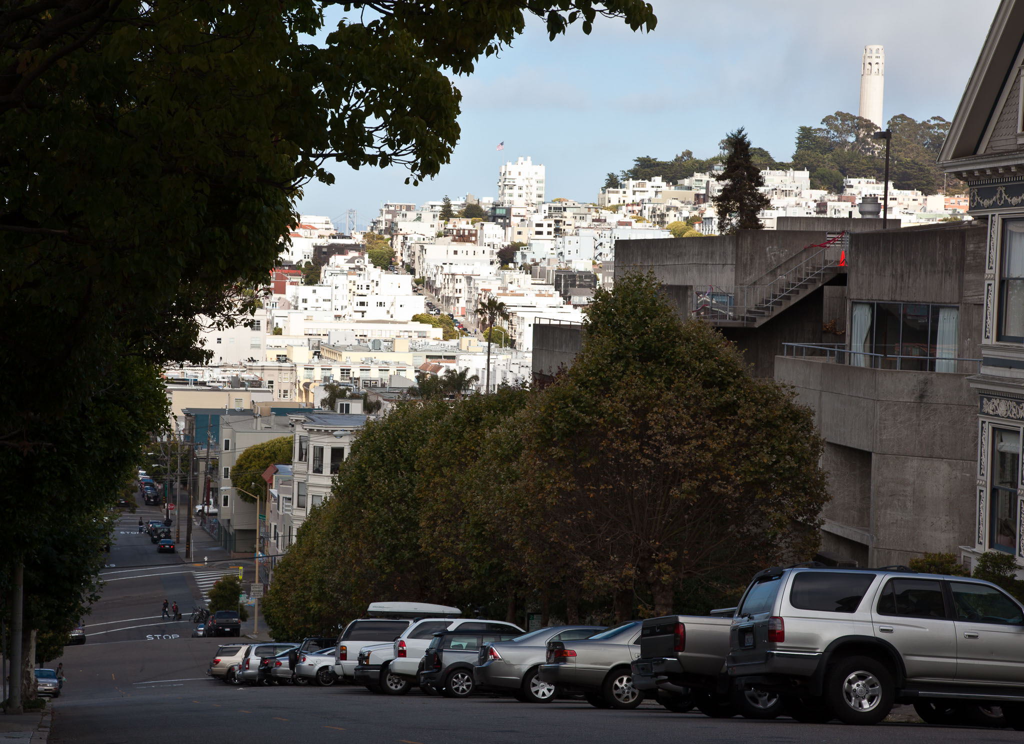 SFO_Napa_5D-34.jpg
