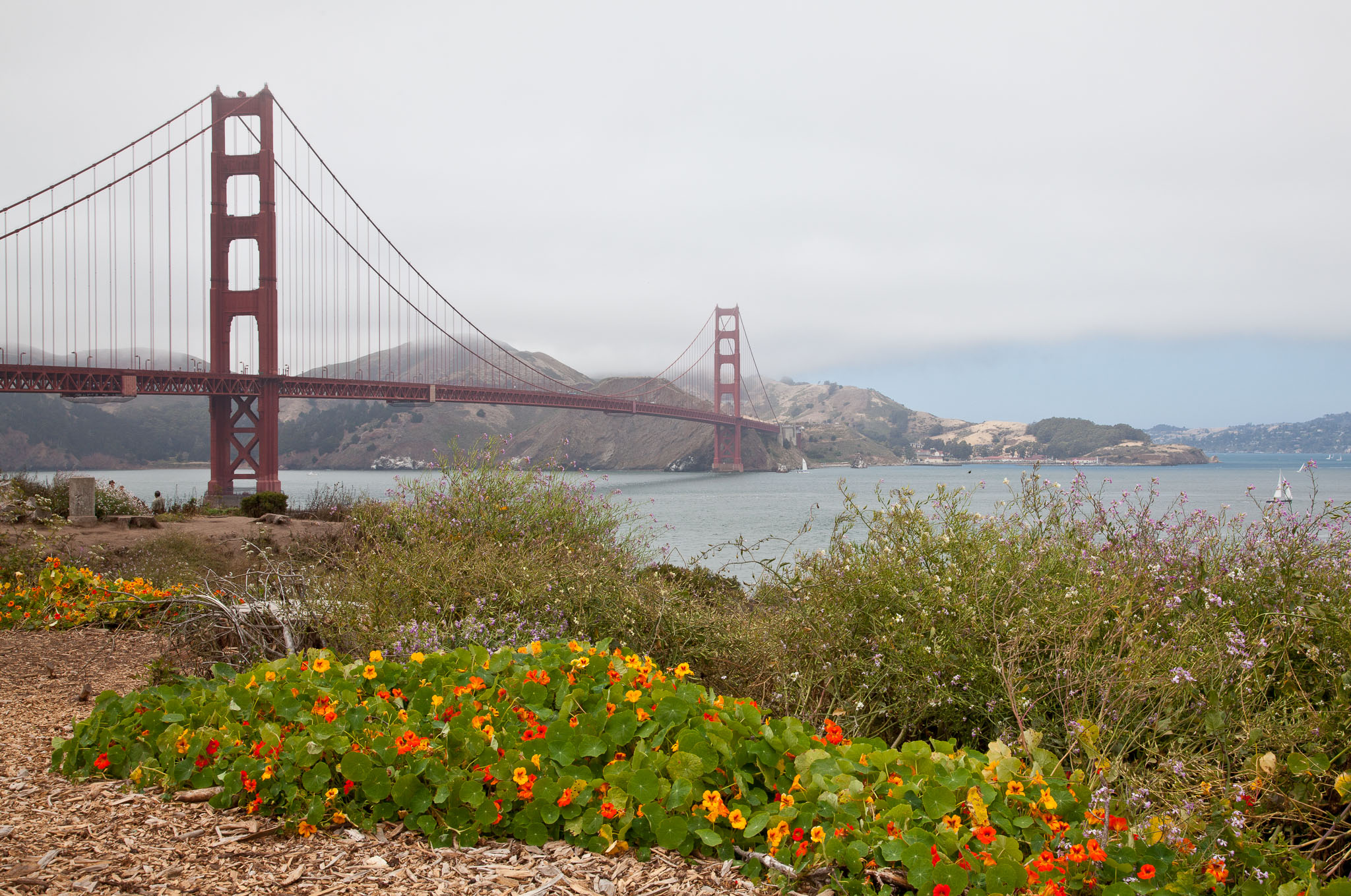 SFO_Napa_5D-78.jpg