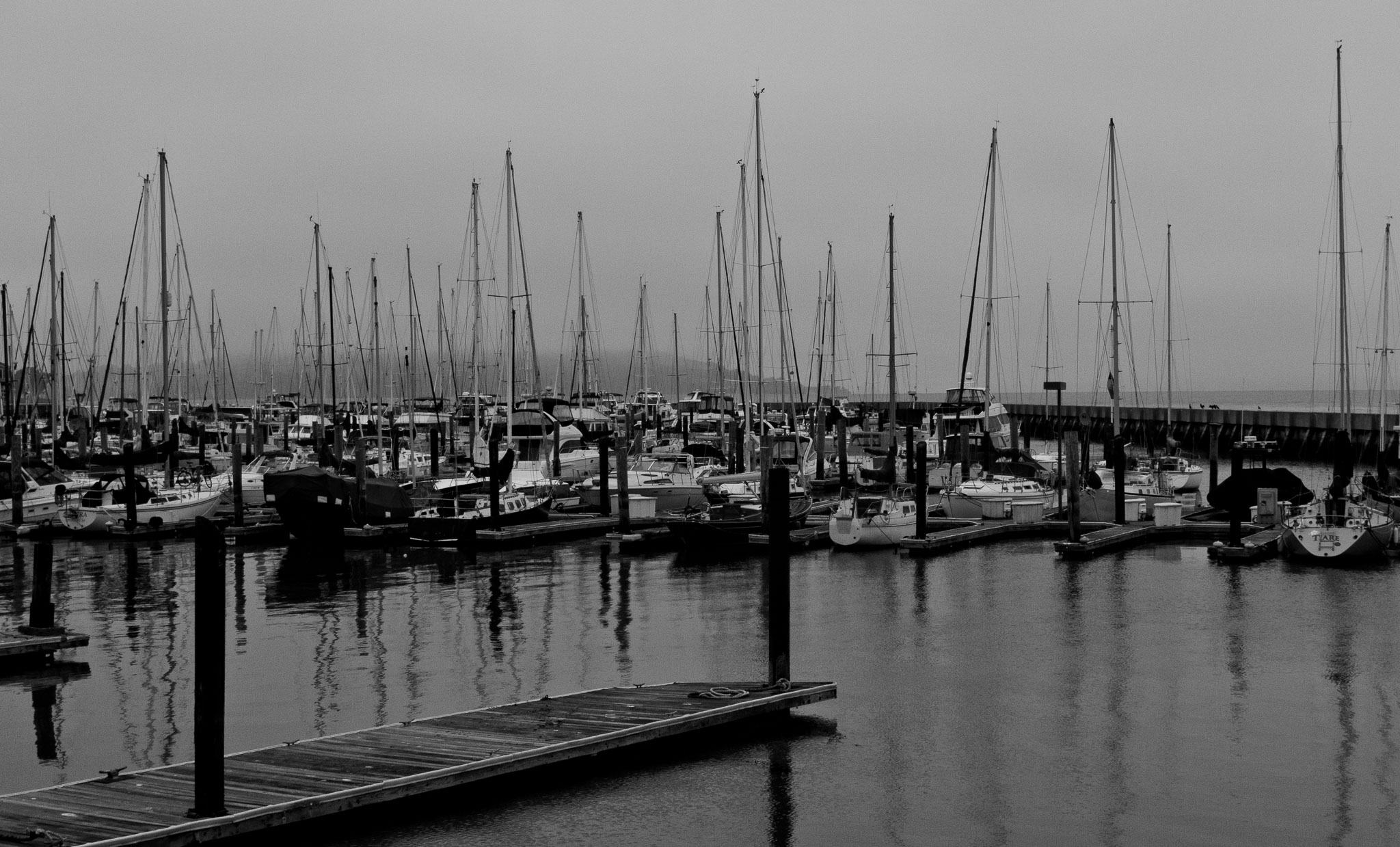 SFO_Napa_DL4-8.jpg