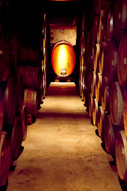 SFO_Napa_5D-138-Edit.jpg