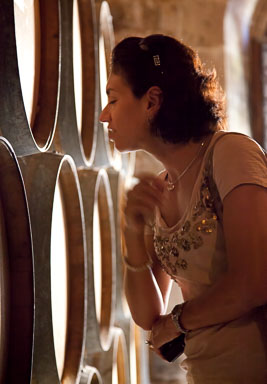 SFO_Napa_5D-168-Edit.jpg