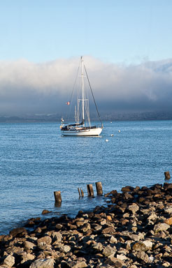 SFO_Napa_5D-193.jpg