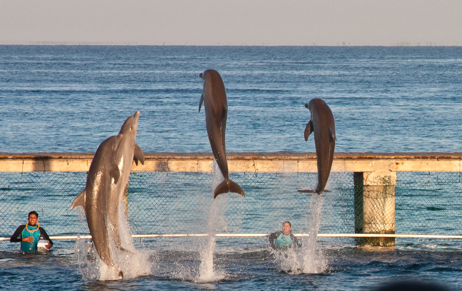 Cozumel2010-40D--119.jpg