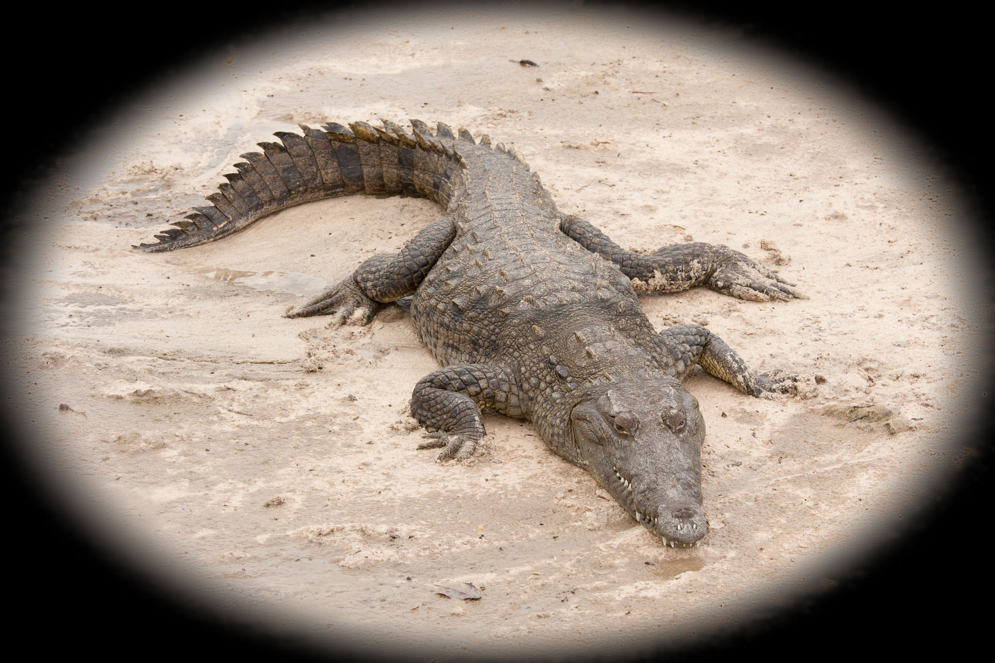 Cozumel2010-40D--31-Edit.jpg