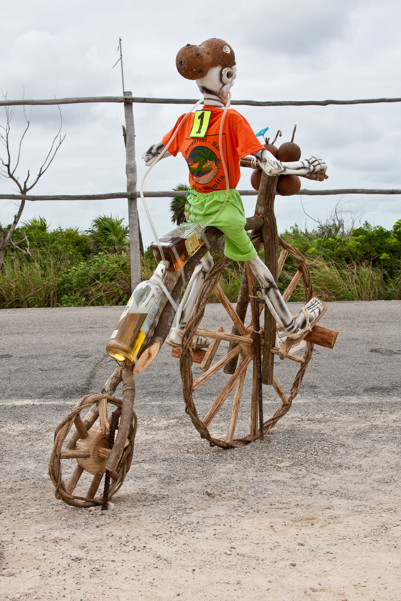 Cozumel2010-40D--46.jpg
