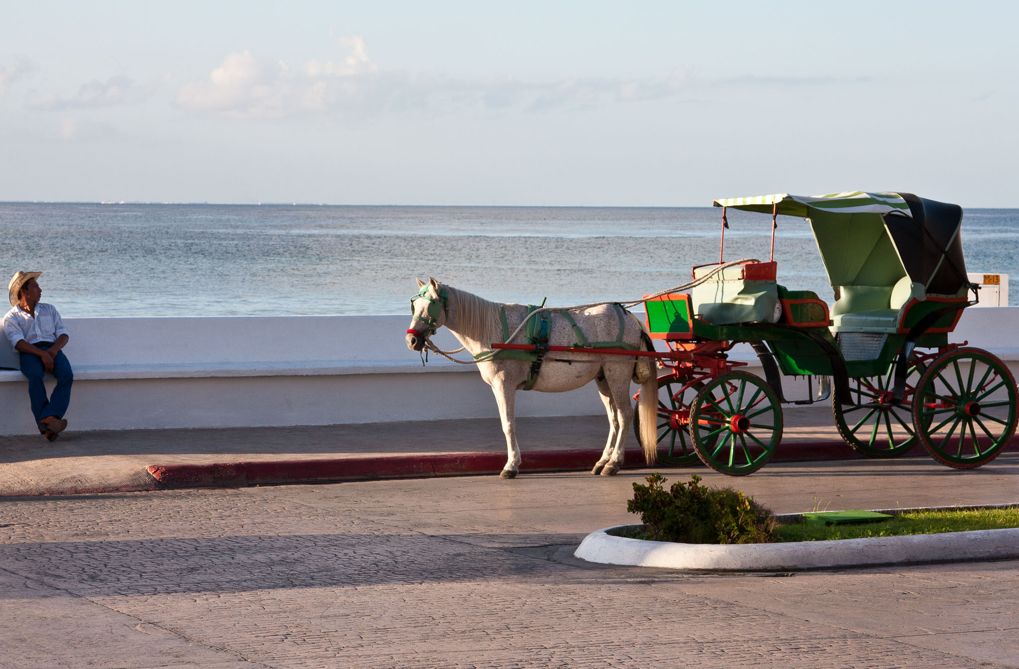 Cozumel2010-40D--70.jpg