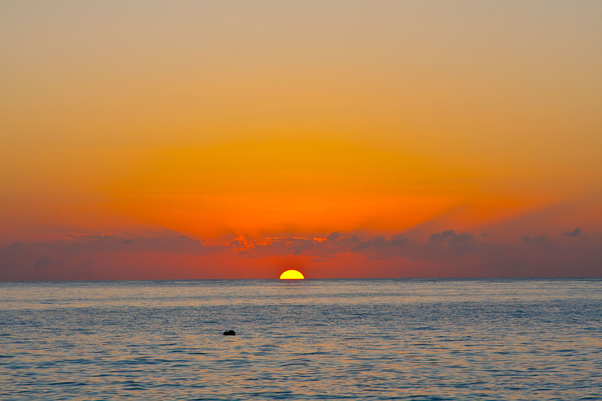 Cozumel2010-40D--97.jpg