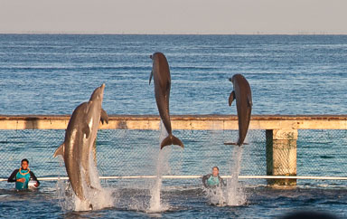 Cozumel