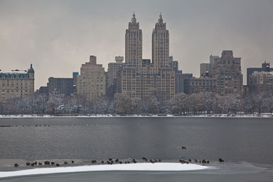 NewYork-5.jpg