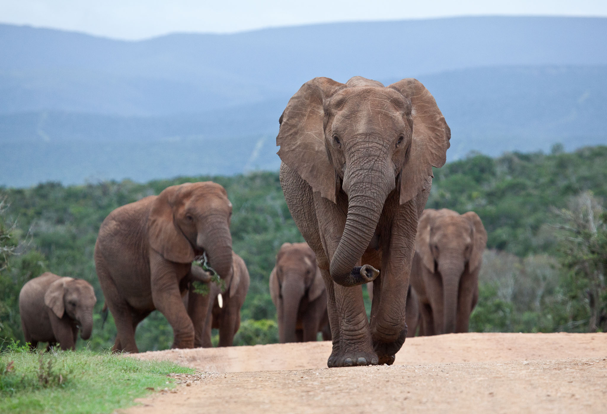 SouthAfrica-1053.jpg