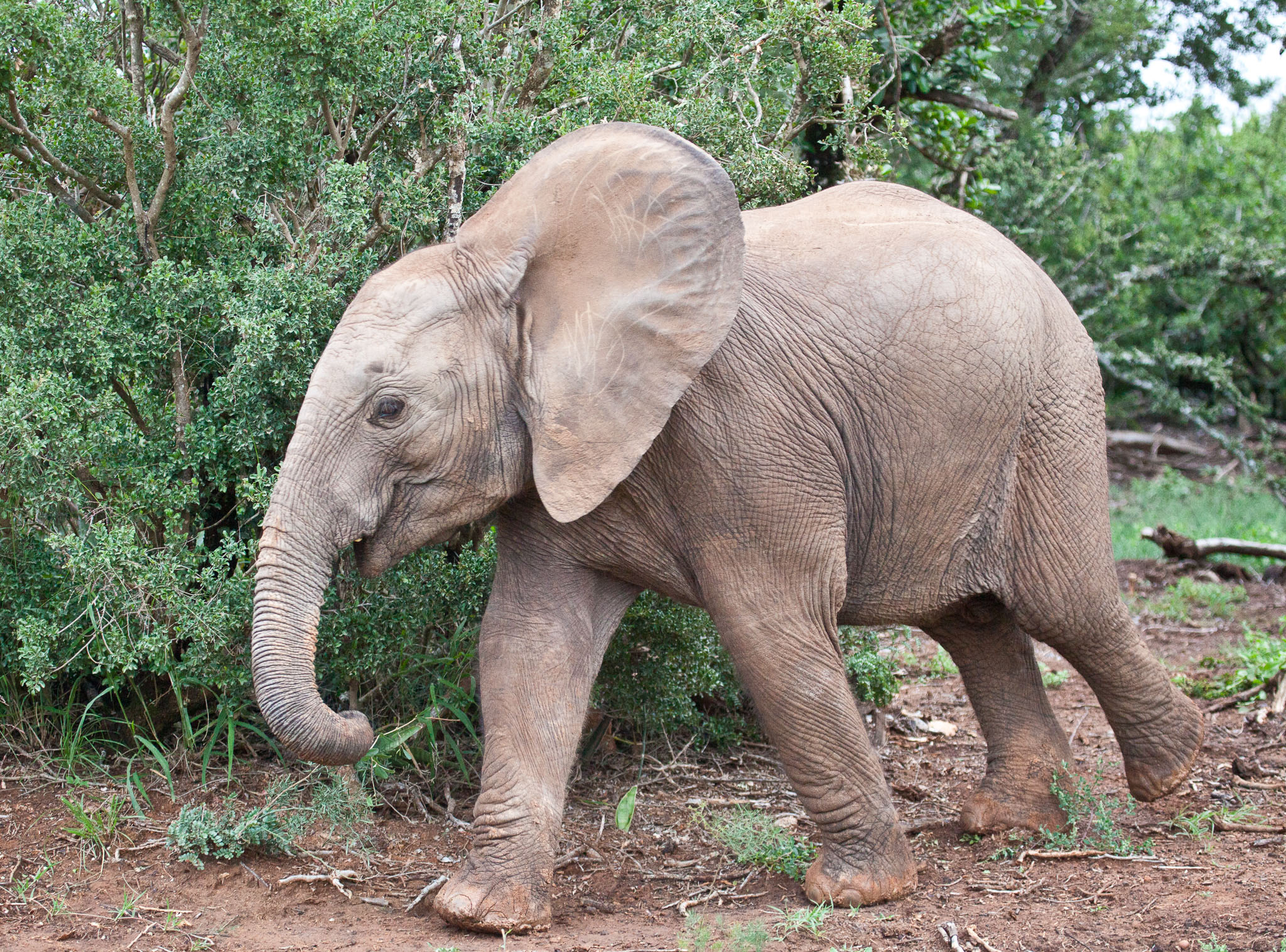 SouthAfrica-1056.jpg