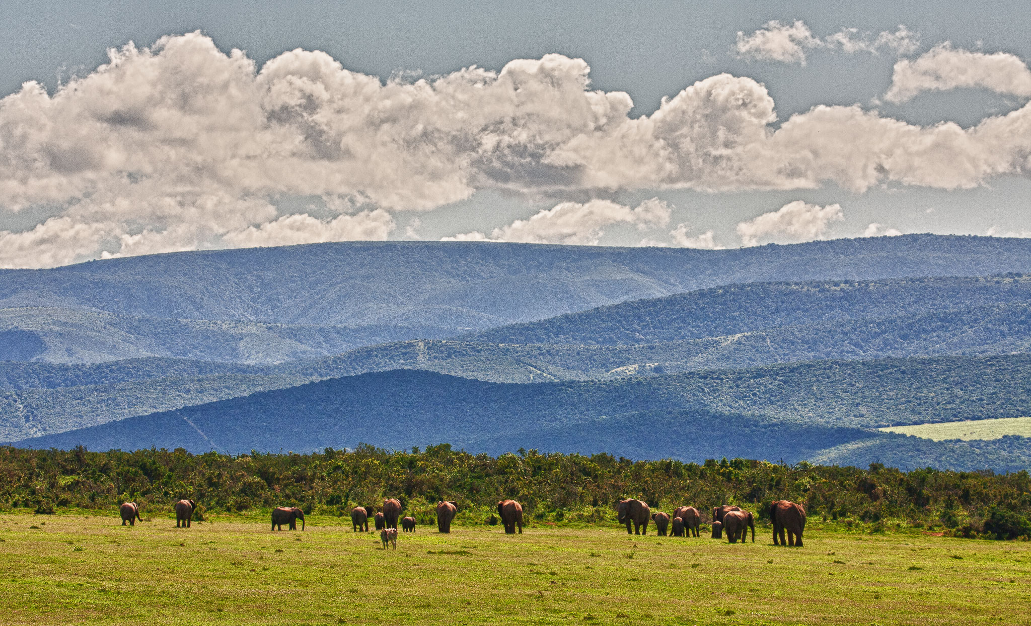 SouthAfrica-109-Edit.jpg
