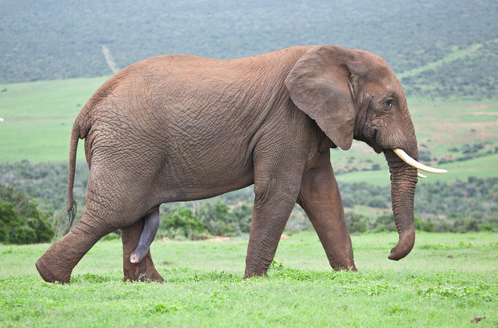 SouthAfrica-1102.jpg