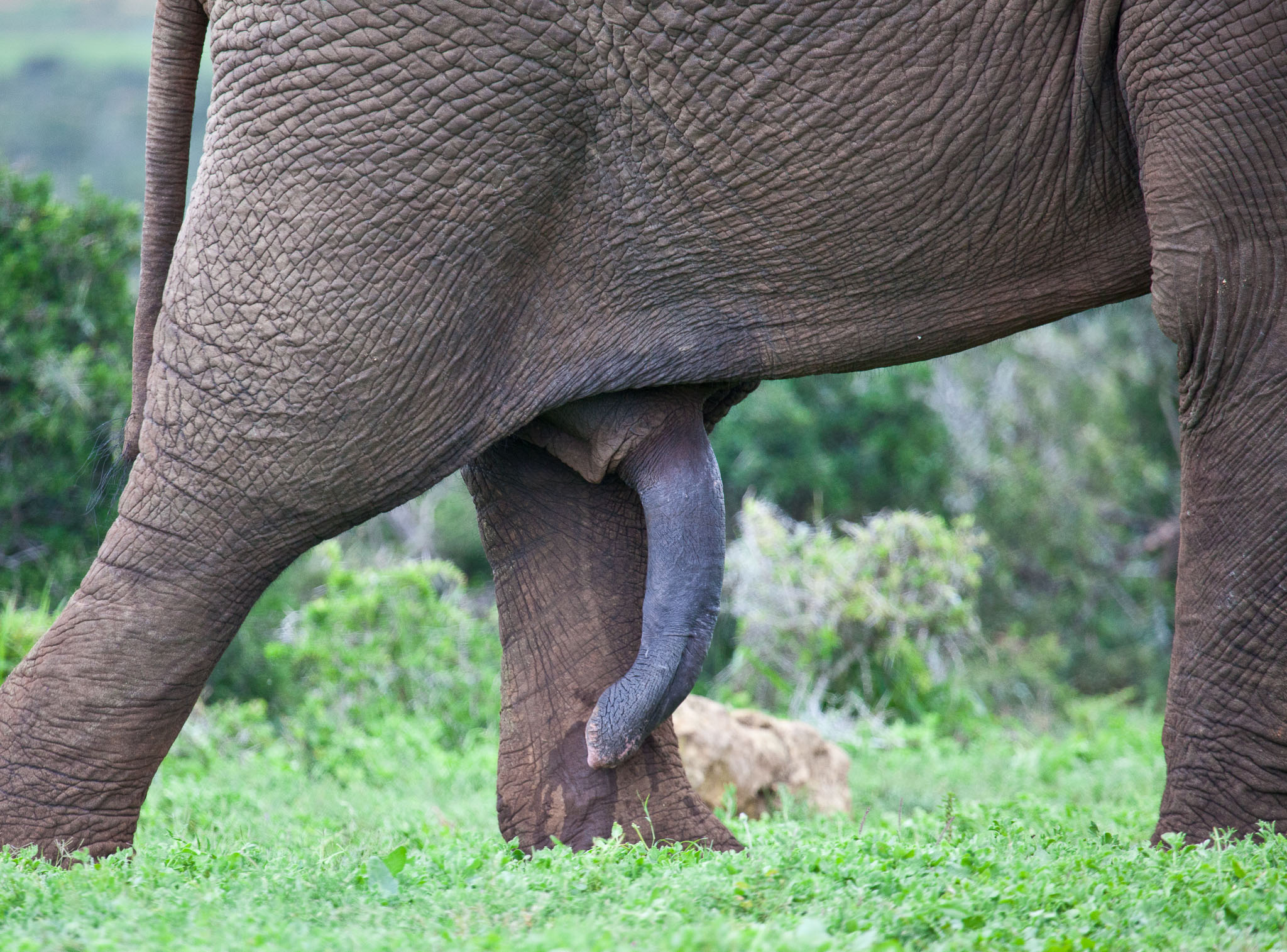SouthAfrica-1106.jpg
