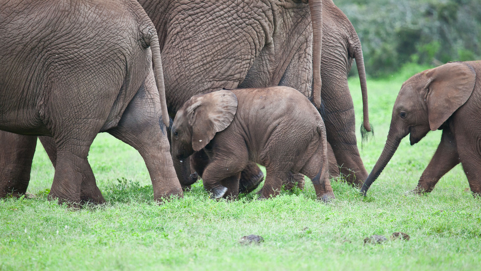SouthAfrica-1115.jpg