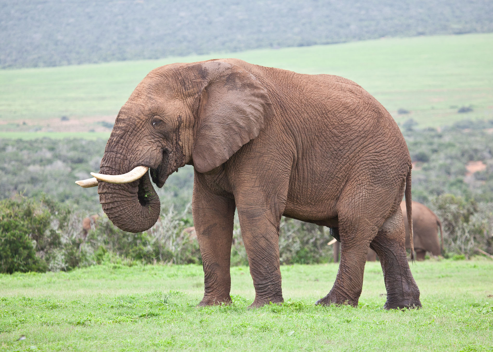 SouthAfrica-1122.jpg