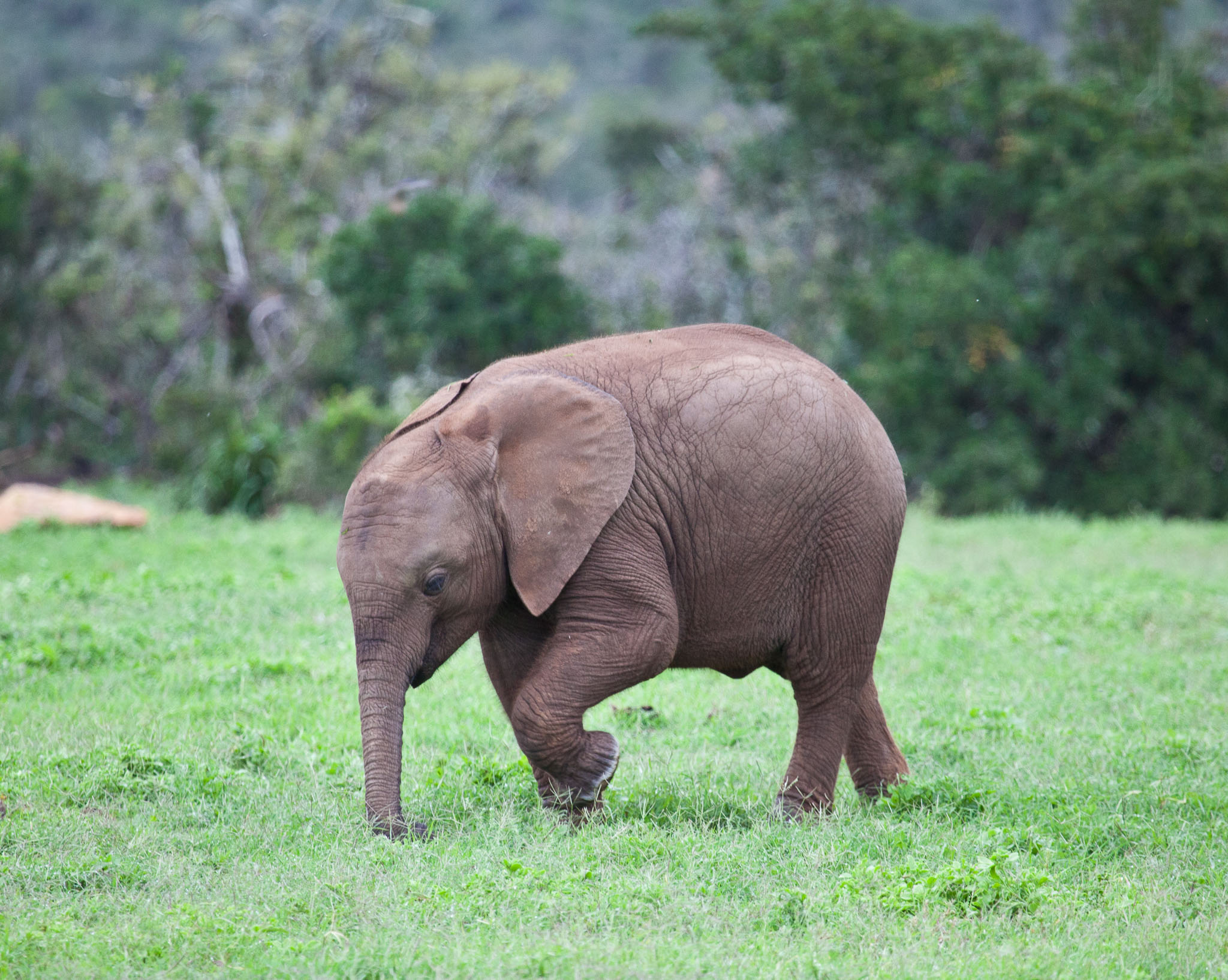 SouthAfrica-1124.jpg