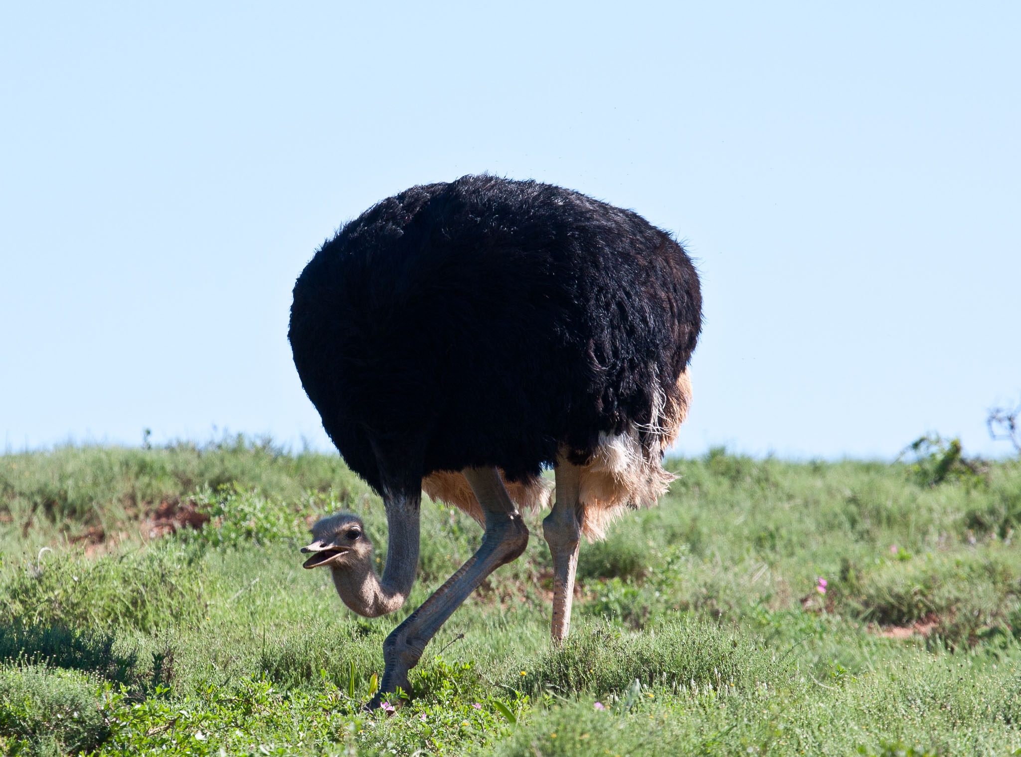 SouthAfrica-210.jpg
