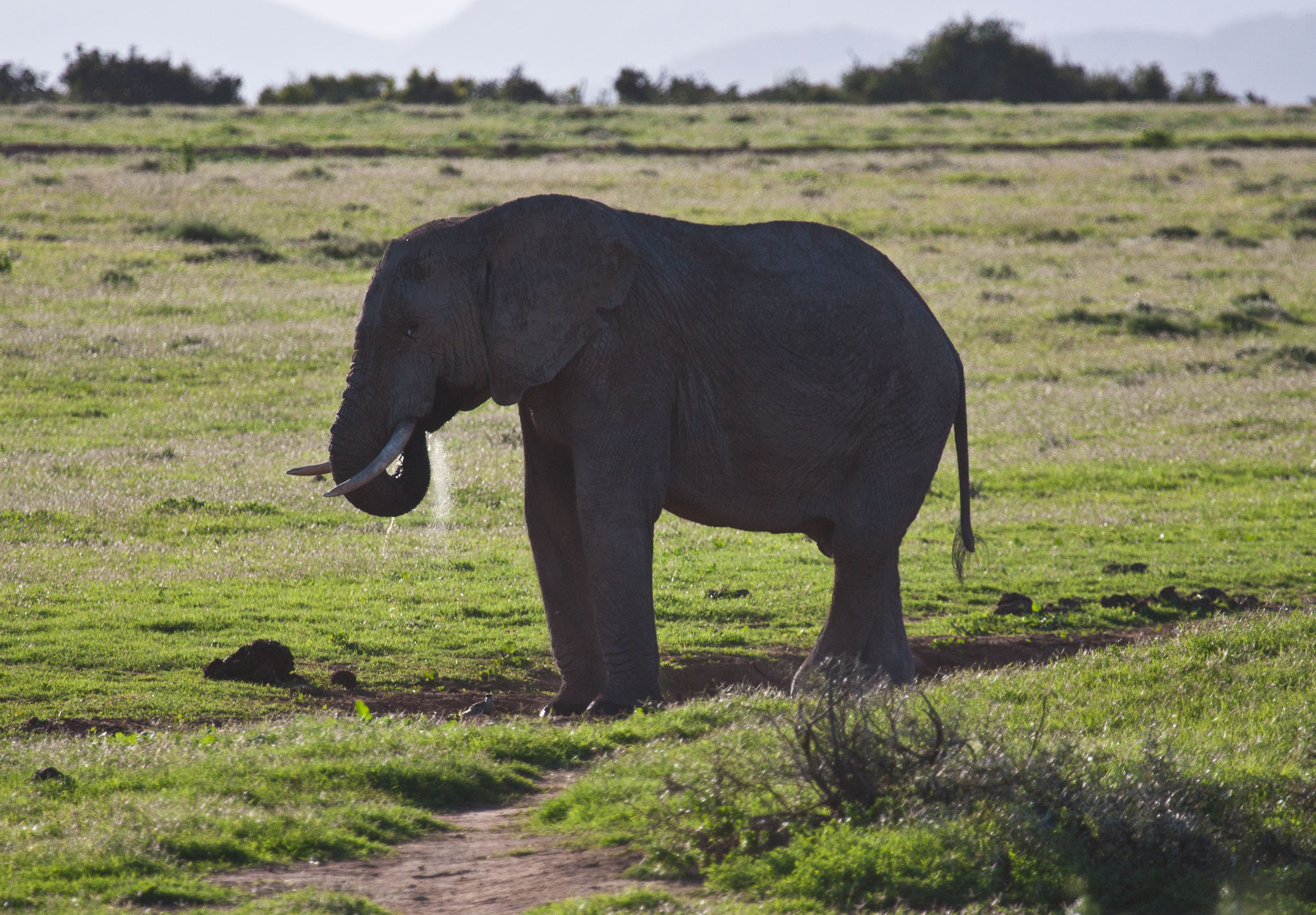 SouthAfrica-243.jpg