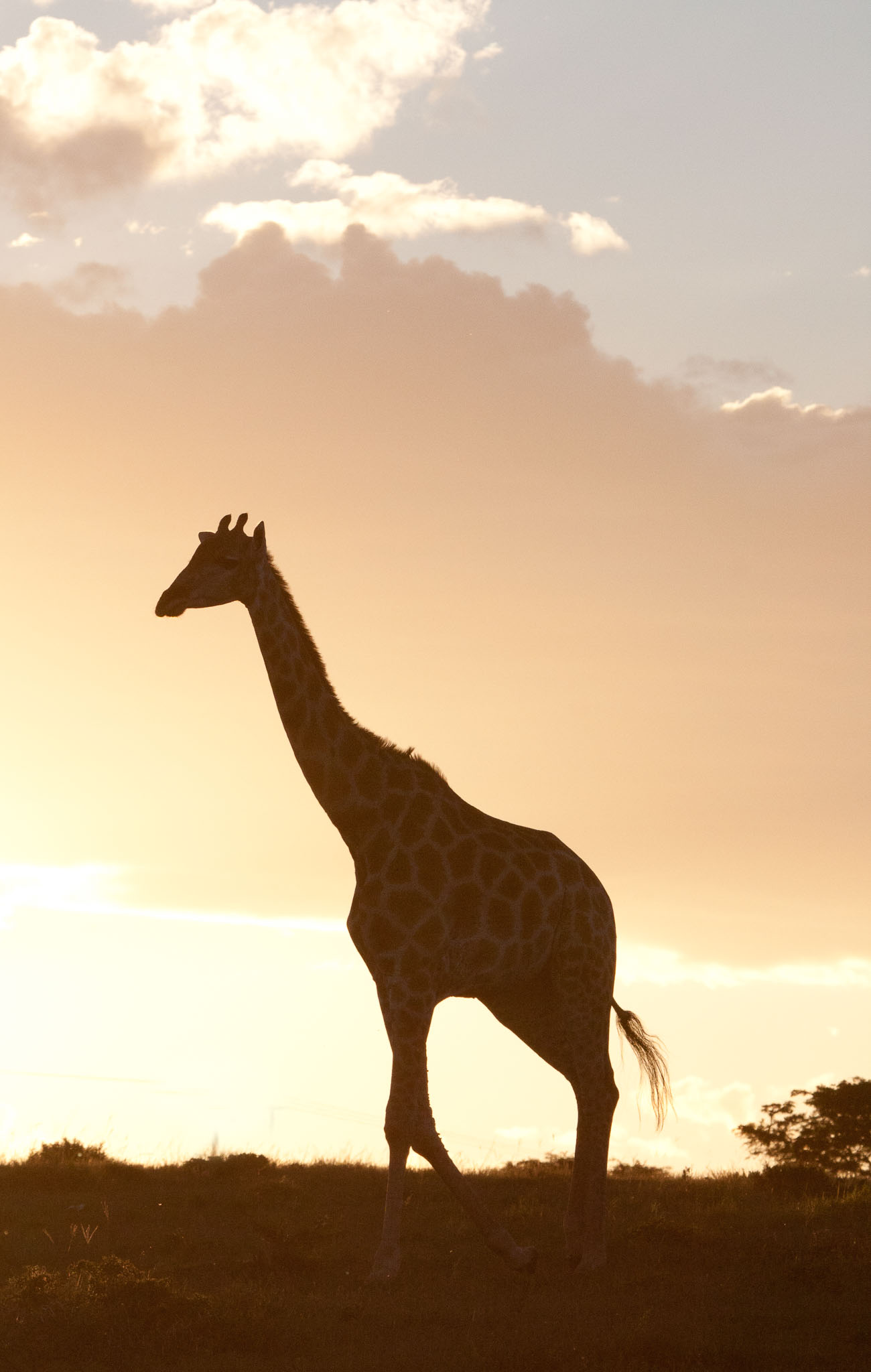 SouthAfrica-267-Edit.jpg