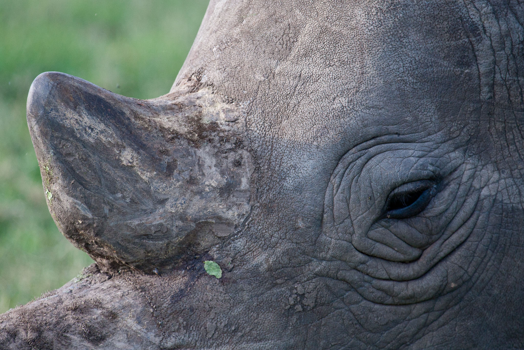 SouthAfrica-309.jpg
