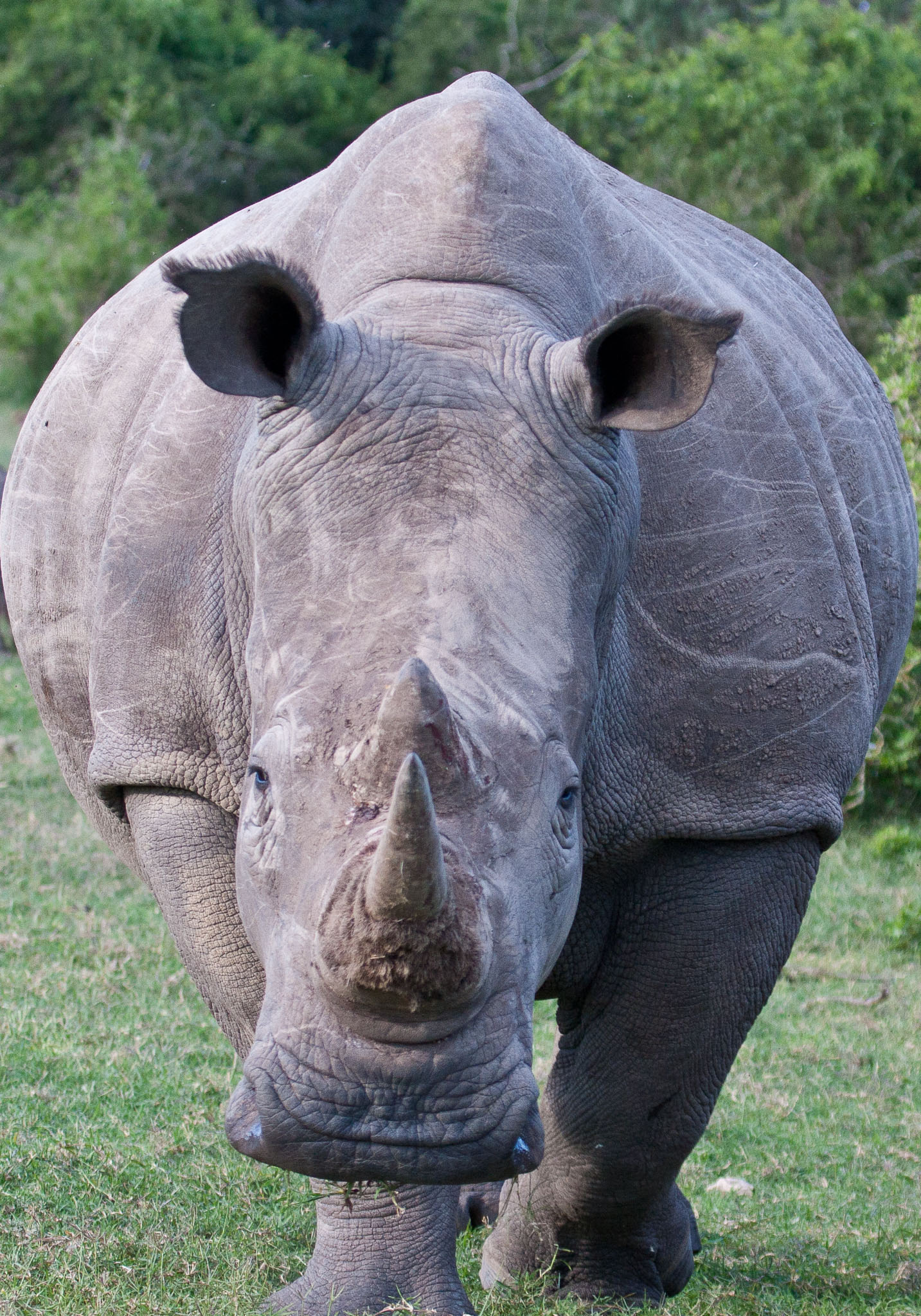SouthAfrica-313.jpg