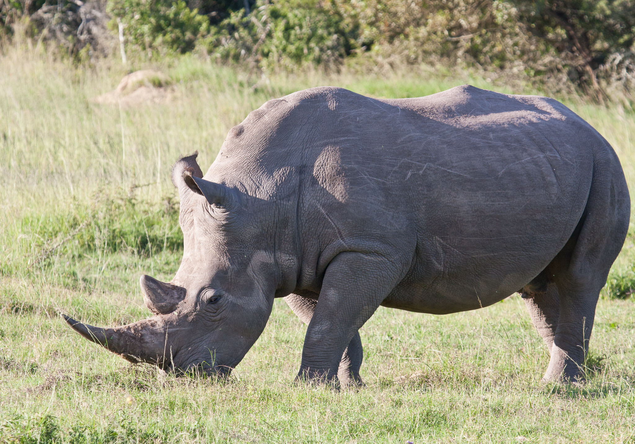 SouthAfrica-326.jpg