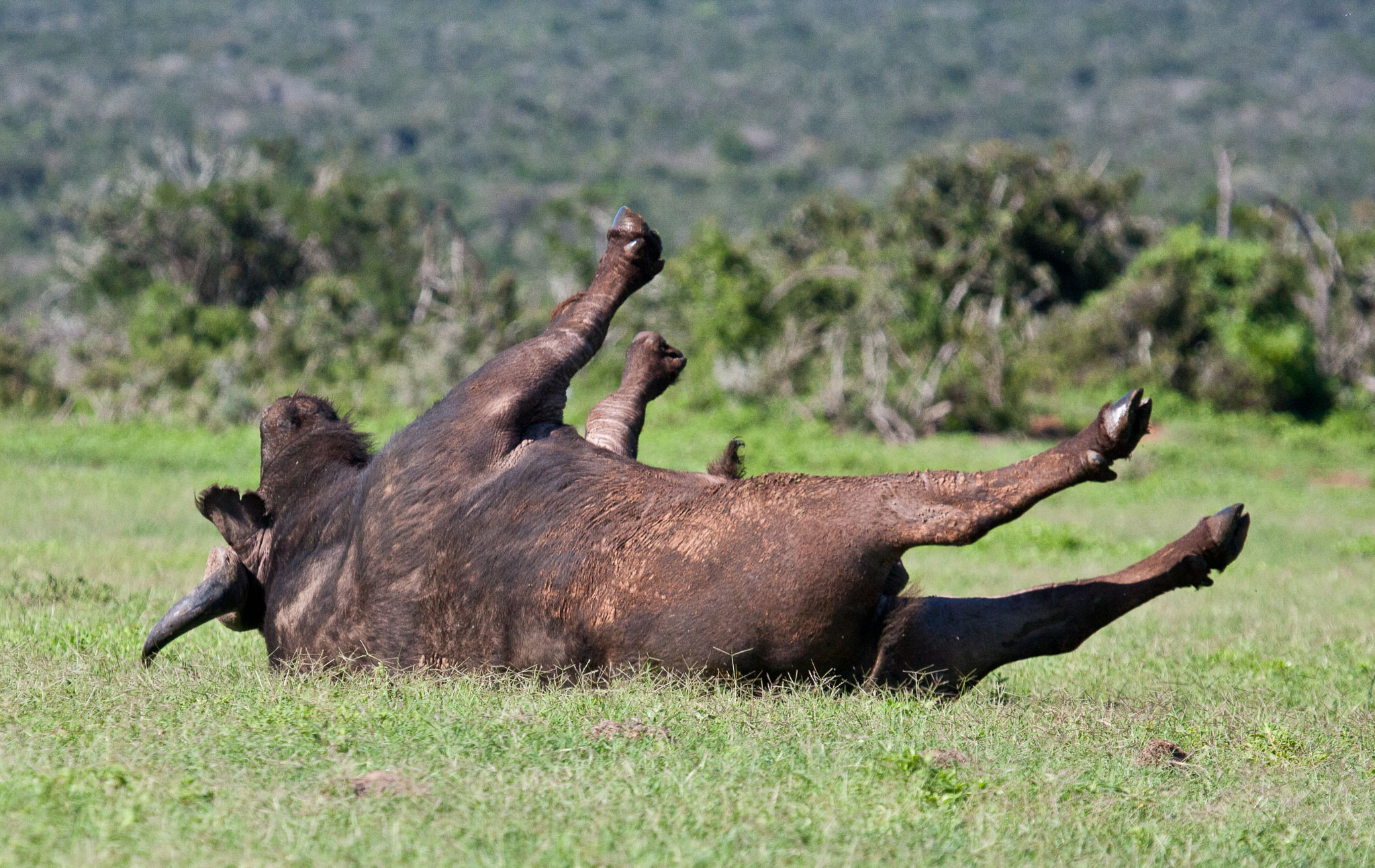 SouthAfrica-35.jpg