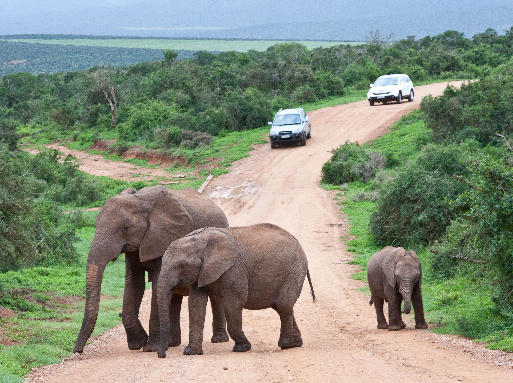SouthAfrica-392.jpg