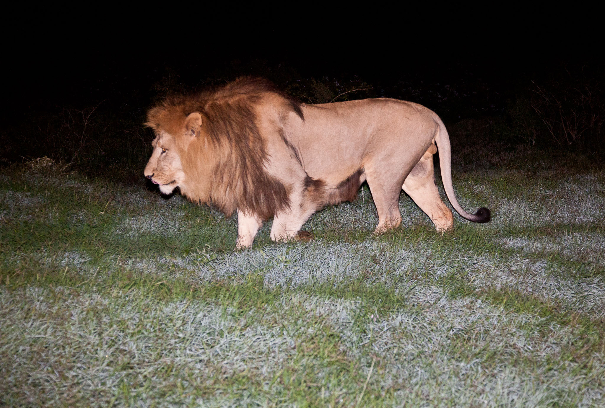 SouthAfrica-705.jpg