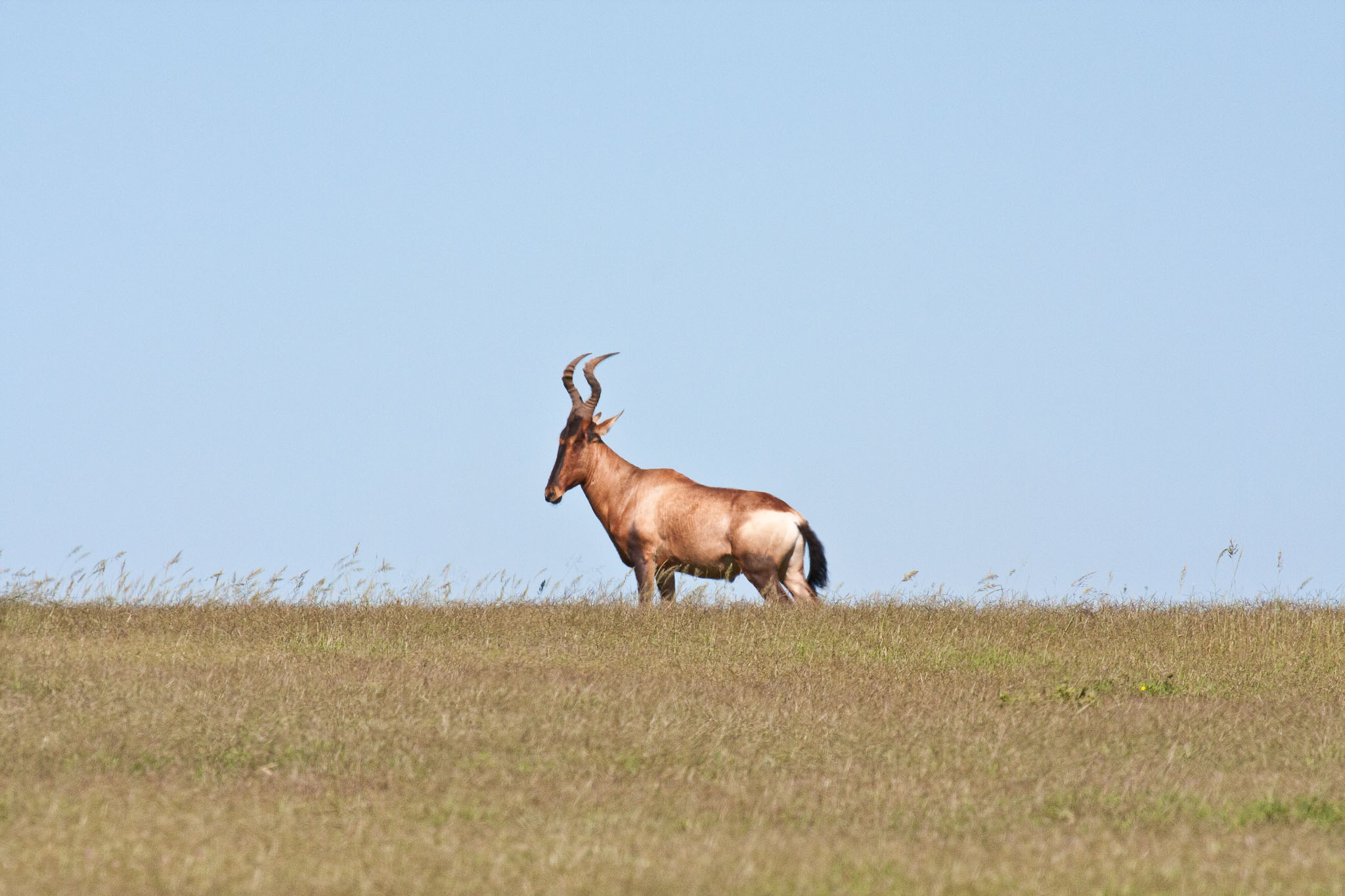 SouthAfrica-75.jpg