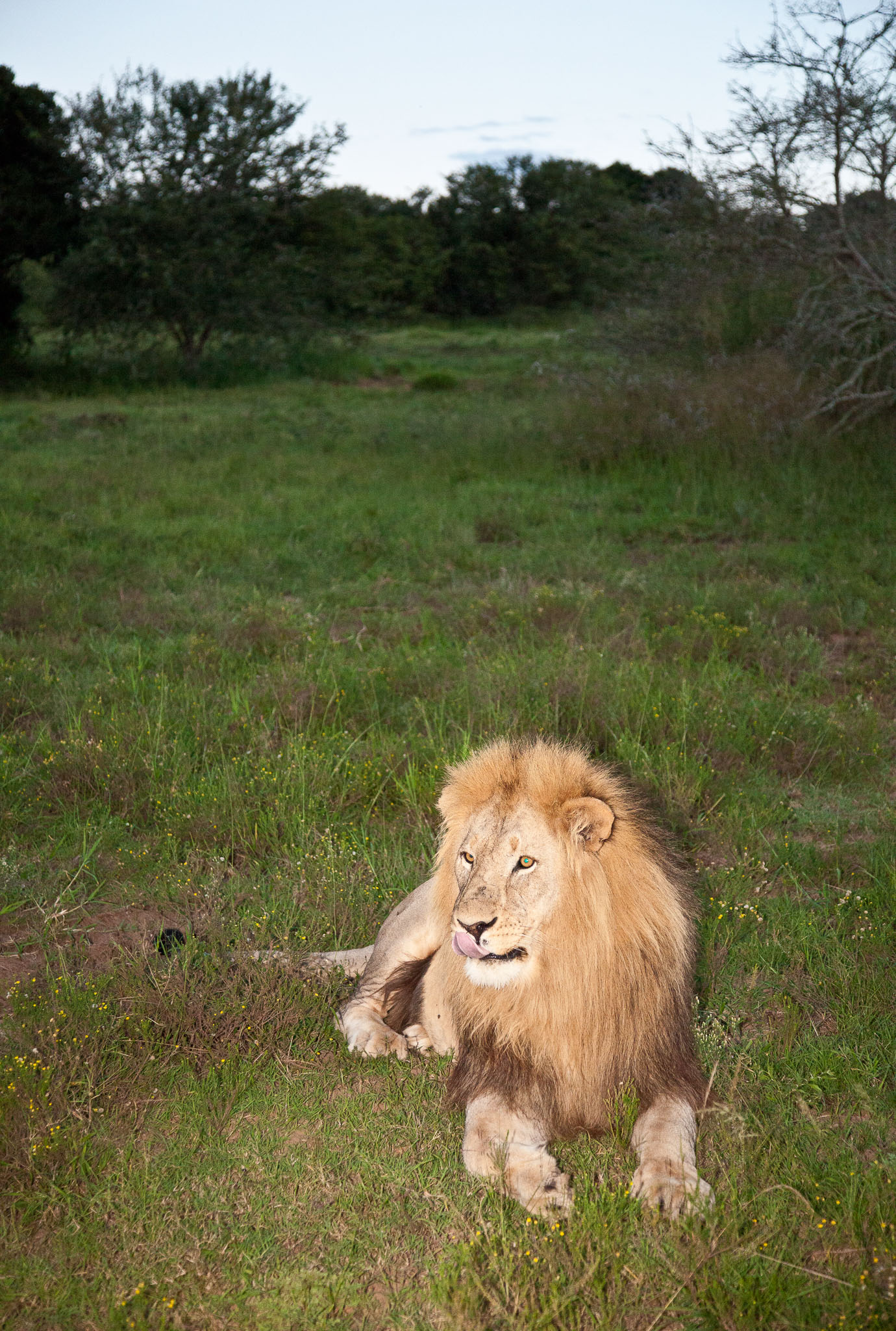 SouthAfrica-765.jpg