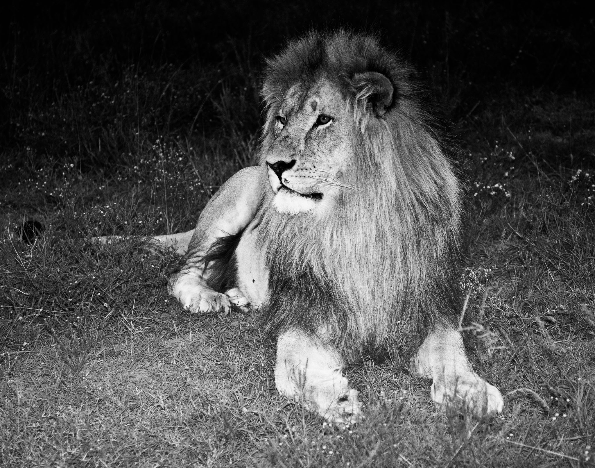 SouthAfrica-777-Edit.jpg