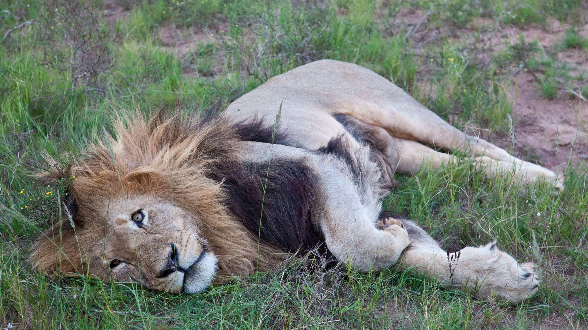 SouthAfrica-788.jpg