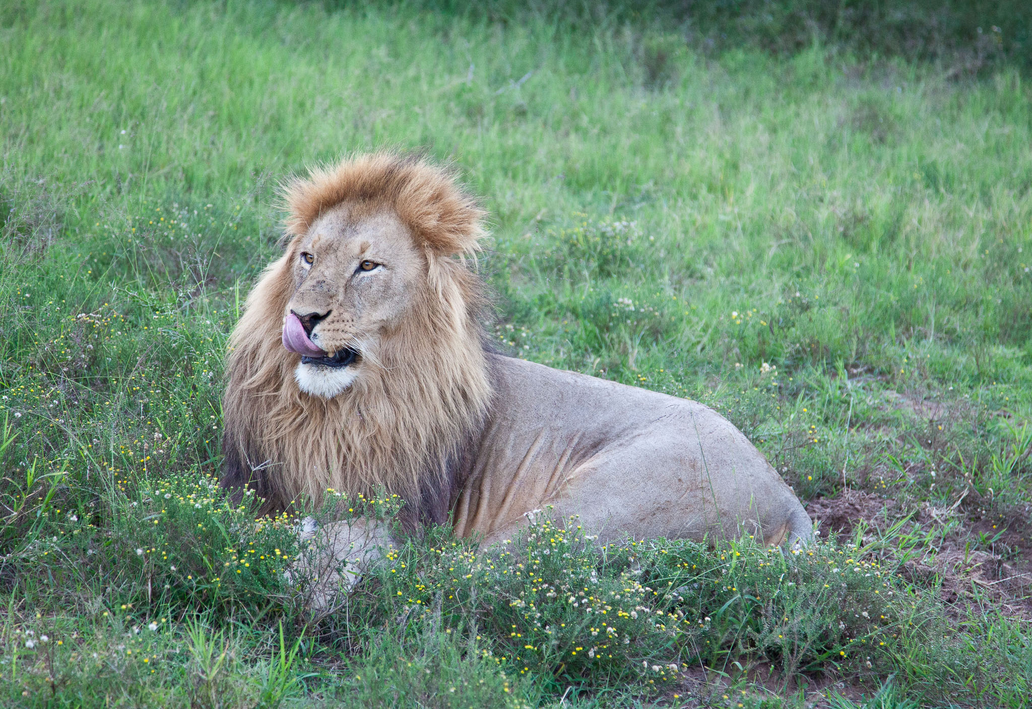 SouthAfrica-790.jpg