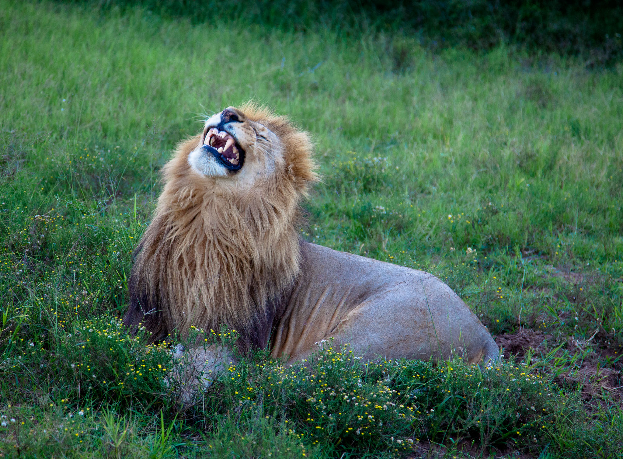 SouthAfrica-792.jpg
